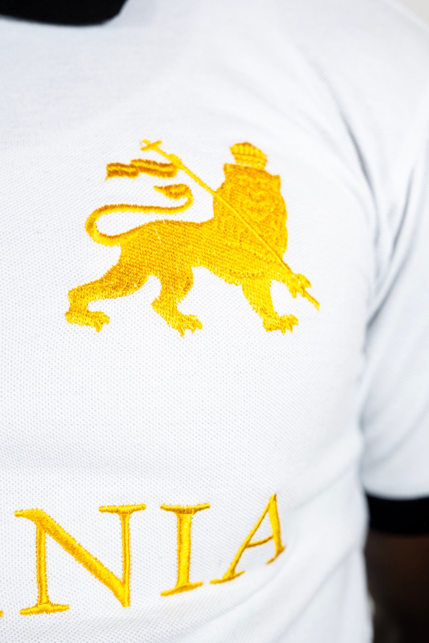Big 9 "ABYSSINIA" POLO